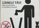 Campania „Strânge după câinele tău”, la Pitești! Amenzi între 200-500 lei