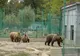Intrare gratuită la Grădina Zoologică din Pitești