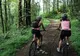 Piste de biciclete și alei pietonale prin Pădurea Trivale