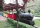 De Ziua Copilului plimbare gratuită cu trenuleţul, în Parcul Ştrand