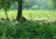 De 1 iunie, intrare gratuită pentru copii la Grădina Zoo Pitești