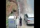 Video-Ursoaica și puii s-au întors la hotel, pe Transfăgărăşan
