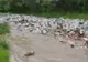 Video - Efectul aruncării gunoiului la „gârlă”! Tone de deșeuri, aduse de viitură