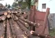 Camion cu lemne răsturnat în curte! A distrus totul în calea sa