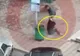 Trimis în judecată că a bătut crunt o femeie, în stradă