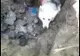 Video-Câine salvat din subteran! Operațiune inedită a pompierilor