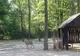 Vineri, intrare liberă la Grădina Zoologică Pitești, pentru copii și adulți!