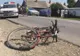 Biciclist mort abandonat pe șosea, găsit la Bârla!