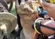 Video! Ied căzut în puț, salvat de pompierii argeșeni