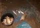 Video - Pescari din Teleorman prinși la braconat în Argeș