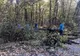 Primăria a solicitat, Ocolul Silvic a aprobat! Acțiune de tăiere și toaletare a arborilor, în Pitești