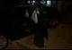 Video-Viteza şi alcoolul, cauzele unui accident provocat în Piteşti