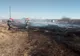 Video-Zeci de pompieri s-au luptat cu un incendiu de vegetație