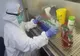 Două persoane vindecate de coronavirus, în Argeş!