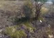 Incendiu de vegetație în Argeș
