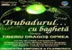 Trubadurul...cu baghetă, la Filarmonica vâlceană