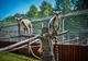 Pe 1 Iunie intrare gratuită la Grădina Zoologică din Pitești