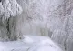 VIDEO| Ninge abundent la munte. Unde se intervine