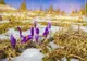 Prognoza meteo 19 februarie. Temperaturi în scădere, în toată țara