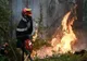 INCENDII DE VEGETAȚIE ÎN JUDEȚUL ARGEȘ: MII DE METRI PĂTRAȚI MISTUIȚI DE FOC