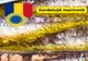 APROBAREA SPECIALITĂȚII TRADIȚIONALE GARANTATE "SARDELUȚA MARINATĂ" DIN ROMÂNIA