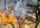 INCENDII DEVASTATOARE ÎN ARGEȘ: 6 HA DE TEREN MISTUITE DE FLĂCĂRI