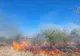 INCENDIU ÎN POPEȘTI: POMPIERII INTERVIN PENTRU STINGERE ȘI SALVARE