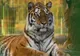 ZOO PITEȘTI: VIZITĂ ÎN MINIVACANȚA DE SFÂNTA MARIA MARE