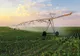 PROIECTUL CANALULUI SIRET-BĂRĂGAN, O INIȚIATIVĂ PENTRU A SPRIJINI AGRICULTURA ROMÂNIEI
