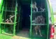 DESCOPERIRE ȘOCANTĂ ÎN TULCEA: Braconaj cinegetic și abuz asupra animalelor