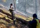 Incendiu în pădurea de pe muntele Drăghina, în Argeș. Pompierii au localizat focul
