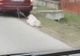 VIDEO! Viceprimar filmat târând un căţel în urma maşinii. Ce spune acesta
