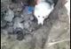 Video-Câine salvat din subteran! Operațiune inedită a pompierilor