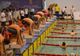 Agitație mare la Bazinul Olimpic Pitești! Concurs de înot cu 350 de sportivi