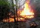 Incendiu în pădure la Albeștii de Muscel!