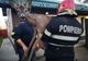 Video-Pui de căprioară salvat de pompierii piteşteni