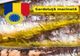 APROBAREA SPECIALITĂȚII TRADIȚIONALE GARANTATE "SARDELUȚA MARINATĂ" DIN ROMÂNIA