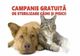 STERILIZARE GRATUITĂ PENTRU ANIMALELE DE COMPANIE ÎN MIOVENI