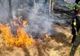 INCENDII DEVASTATOARE ÎN ARGEȘ: 6 HA DE TEREN MISTUITE DE FLĂCĂRI