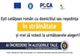 MODALITĂȚI DE VOT PENTRU ROMÂNII DIN STRĂINĂTATE